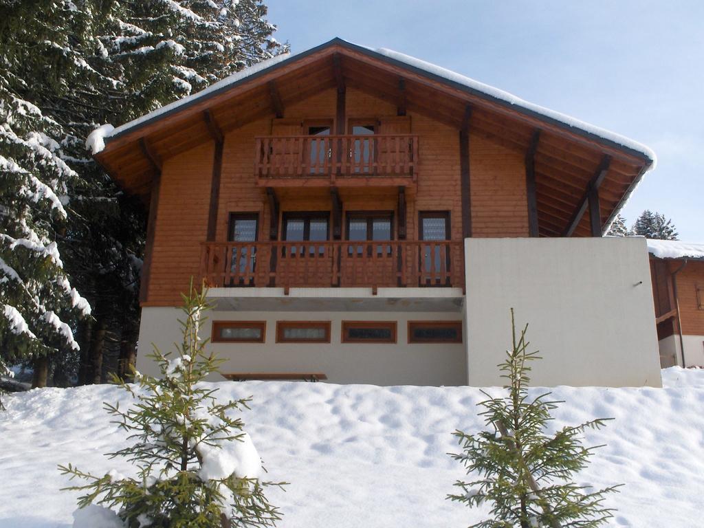 Magnificent Chalet On The Mountain Slopes Les Gets Zewnętrze zdjęcie